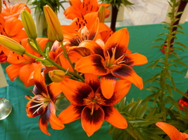 Foto: Dr. Peter Müller